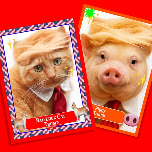 ORANGE FAT FUCK - CARDS